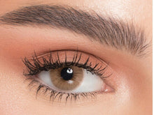 تحميل الصورة في عارض المعرض ، عدسات ناتشورال كور مارون المؤقتة NATURAL CORE MARRON